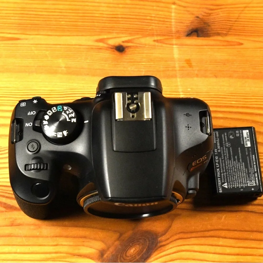 Canon experience high